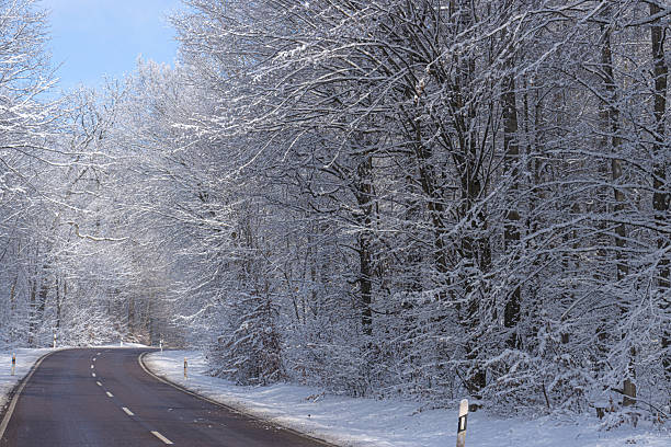 The image shows a peaceful winter landscape with a snow-covered road winding through a dense forest. Tall trees line the path, creating a calm, quiet atmosphere that reflects solitude, cold weather, and winter travel.
