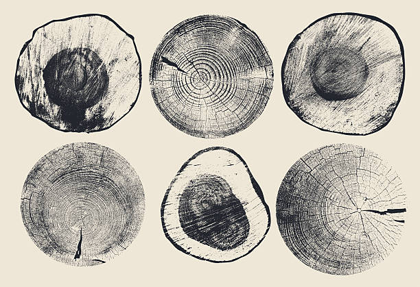 Set of black tree stumps. Cross sections of tree rings. Collection of ring pattern, wood texture. Slices of tree with growth rings, slabs of tree trunk. Vector, natural cut wood, background elements.