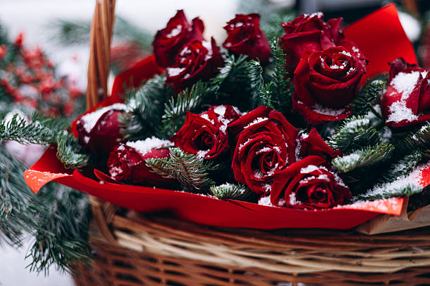 Romantic winter bouquet with red roses and pine branches sprinkled with snow. Perfect for Valentineâs Day, love, holiday decoration, or winter floral concept.