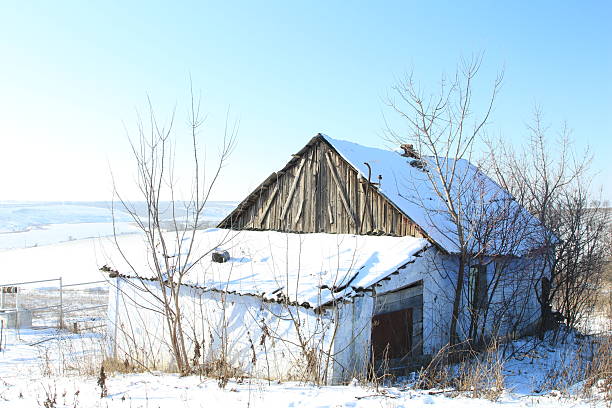 A house in the snow. Sky. Snow. Outdoor. Tree. Day