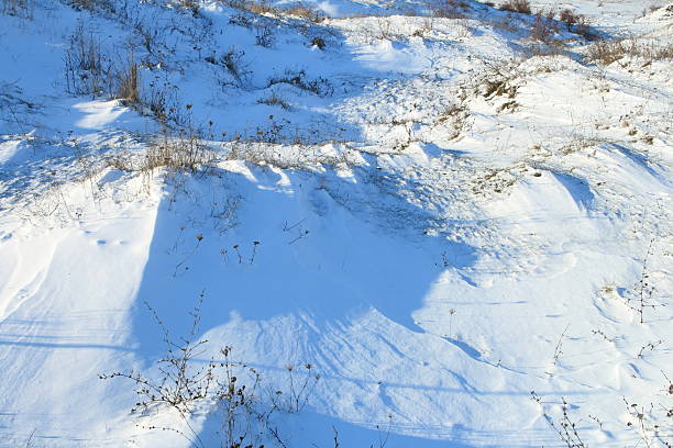 A snowy landscape with trees. Snow. Outdoor. Nature. Ice. Slope