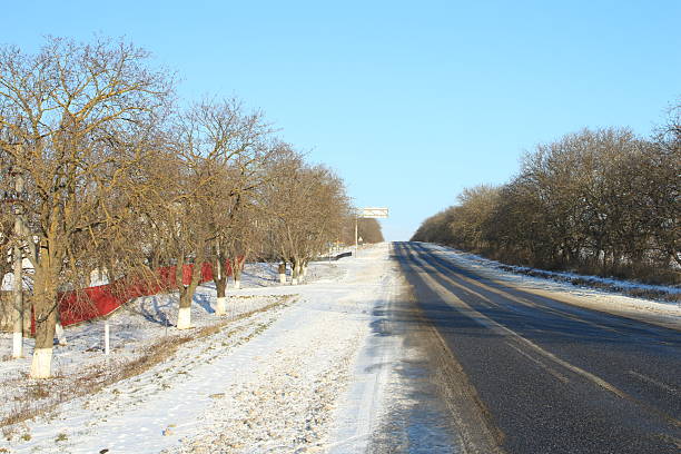A road with snow on the side. Tree. Outdoor. Sky. Road. Snow