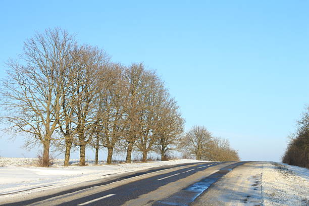 A road with snow on the side. Sky. Outdoor. Tree. Scene. Way