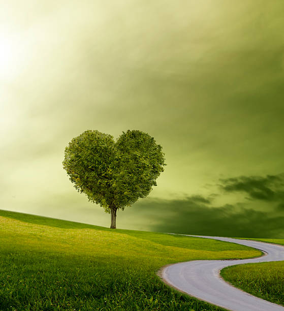 Winding path forwards through an imaginary landscape to a heart-shaped tree