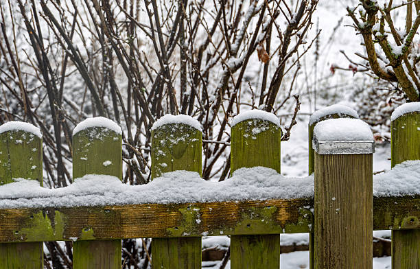 January 2026: Snowcapped Wooden Garden Fence