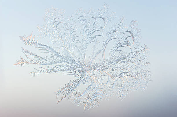 Symmetrical flower bloom of frost crystals and snowflakes adorns window glass against soft blue.