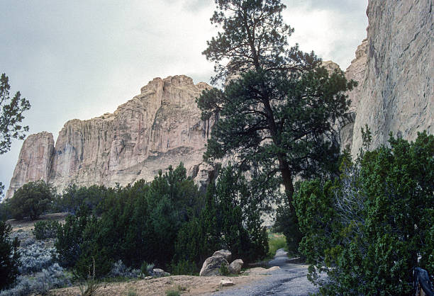 El Morro NM - Inscription Rock & Trees - 1990