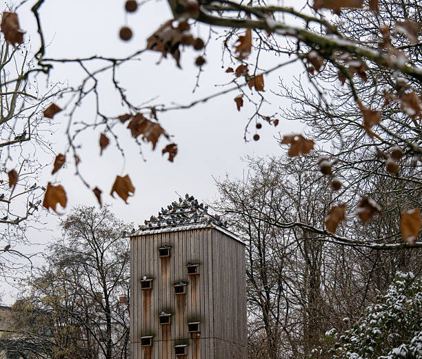 A dovecote in a snowy landscape