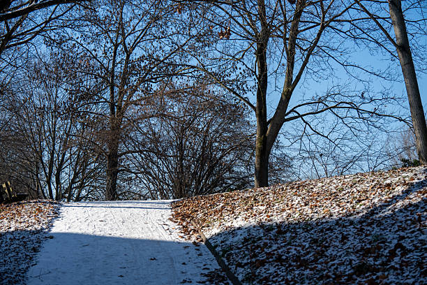 A snow-covered footpath leads up a hill in the park.