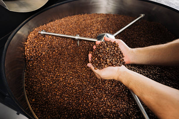 istock Unrecognizable worker holding in his hands freshly roasted, cooled beans 2255580345
