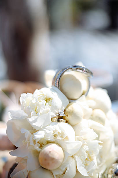 Beautiful pearl necklace and rose flowers on lace fabric, closeup