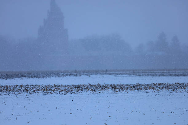 A serene winter scene unfolds with gentle snowfall blanketing a rural field, obscuring a majestic castle in the hazy distance
