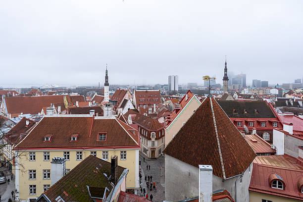 Tallinn, Estonia – Panoramic view of the Old Town skyline with medieval towers, red tile rooftops, church spires, and winter trees seen from an elevated viewpoint.