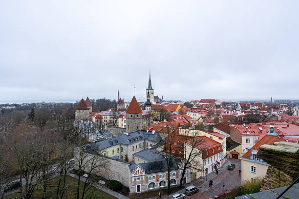 Tallinn, Estonia – Panoramic view of the Old Town skyline with medieval towers, red tile rooftops, church spires, and winter trees seen from an elevated viewpoint.