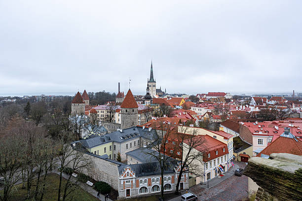 Tallinn, Estonia – Panoramic view of the Old Town skyline with medieval towers, red tile rooftops, church spires, and winter trees seen from an elevated viewpoint.