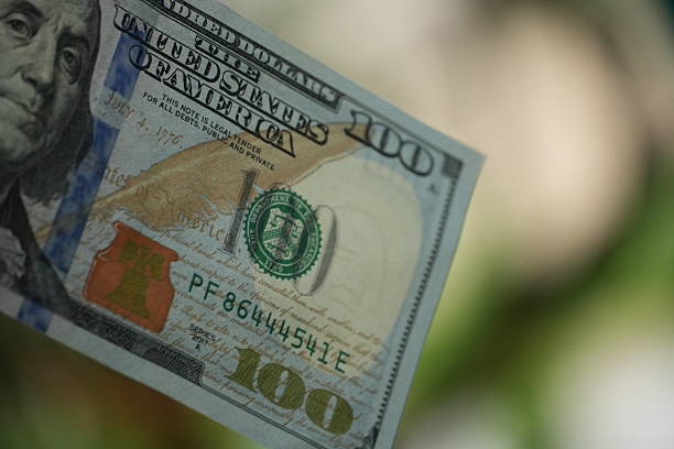 A crisp hundred dollar bill is angled against a soft, out-of-focus green background, symbolizing finance in a natural setting.