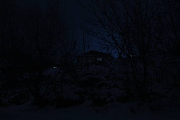 A house in the woods at night. Outdoor. Dark. Night. Tree. Day