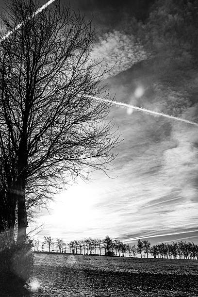 Landschaft im Winter in der Eifel