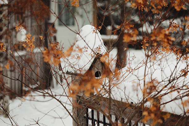 A close up of a birdhouse in a garden in winter. Shot with a Canon 5D Mark IV.