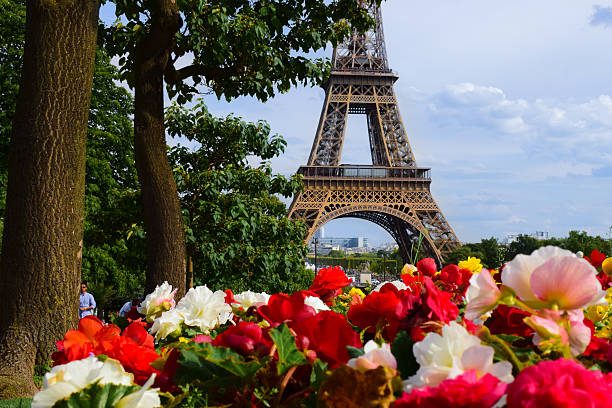 world famous Tour Eiffel on a sunny day