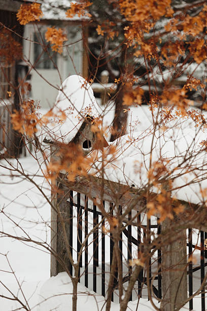 A close up of a birdhouse in a garden in winter. Shot with a Canon 5D Mark IV.