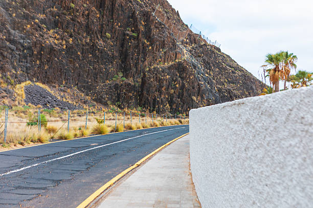 Paved road curves alongside towering dark rock cliff protected by safety mesh. Textured white wall frames the foreground while distant palm trees stand against a cloudy sky