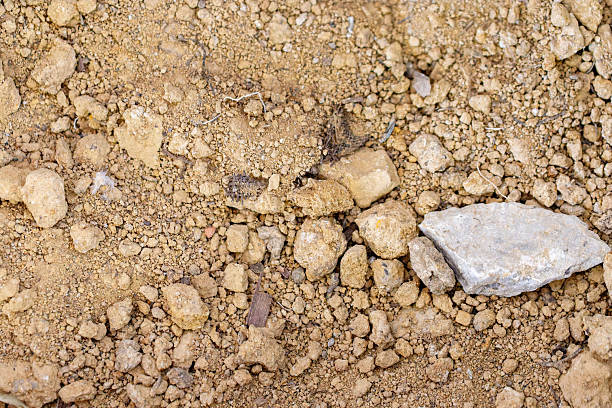 Rough ground surface showing dry soil, dirt, and various sized rocks