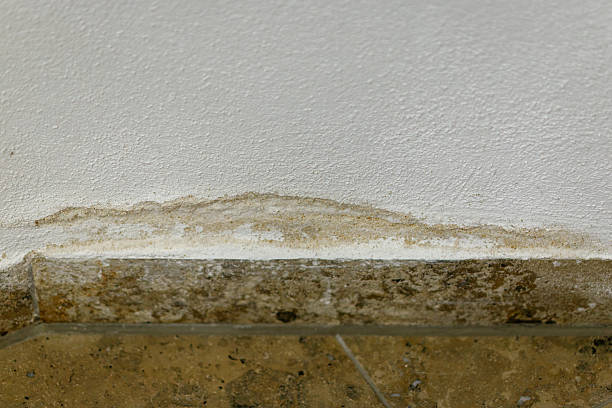 istock Water damage wall with damp stain and mold 2255600170