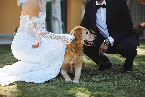 istock Bride and groom wedding with dog 2255600175