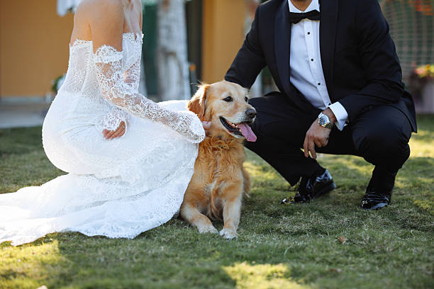 istock Bride and groom wedding with dog 2255600189