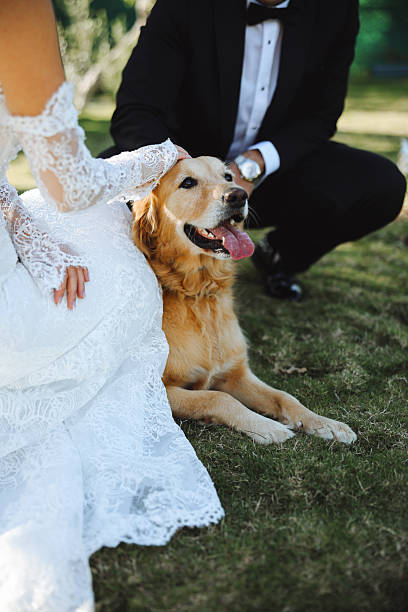 istock Bride and groom wedding with dog 2255600223