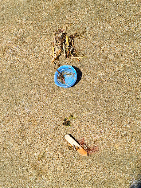 empty bottle at a beach. empty plastic bottle lies on the sand. Close-up of a child's hand picking up an empty, twisted plastic bottle in nature.