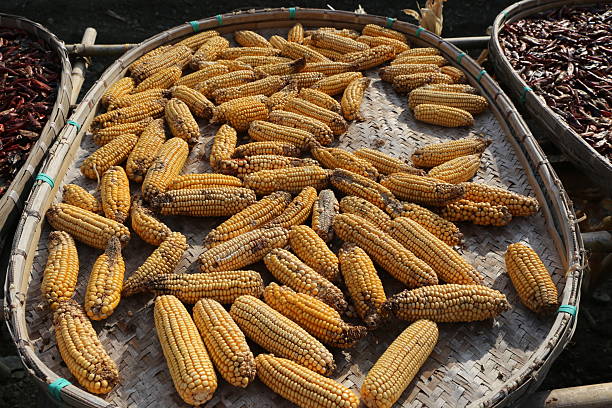 a basket filled with yellow corn cobs, dried red chilies, and some sorghum on the ground in front of it, which is located at an outdoor market stall in yunnan province, china.