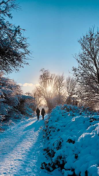 istock Winter wonderland in the Netherlands January 2026 2255606566