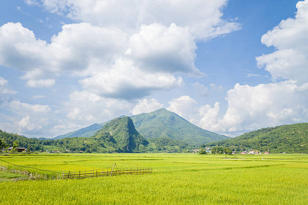 Lush green rice paddies stretch out beneath a prominent forested mountain under a sky filled with dramatic clouds in northern Vietnam. The landscape is open, sunlit, and tranquil, with scattered rural houses at the edge of the fields.
