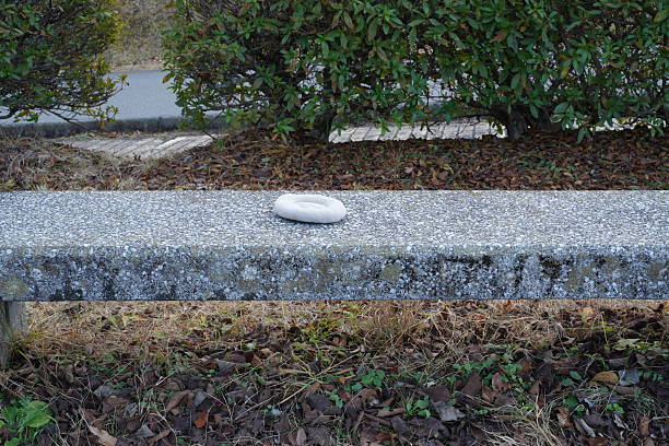 A concrete bench with a white frisbee on it. The bench is empty and the frisbee is the only object on it