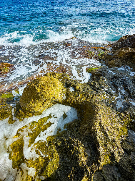 Sunlight dances on the ocean's surface as waves crash against rugged rocks, creating a serene atmosphere in a coastal paradise. Nature embodies peace and beauty in this coastal setting.