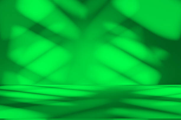 Studio style background wall decoration presentation uses white and green tones. with shadows cast from a nearby window, concept creating a decorative