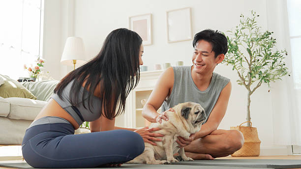 istock Asian couple relaxing with pug dog during home workout 2255624928