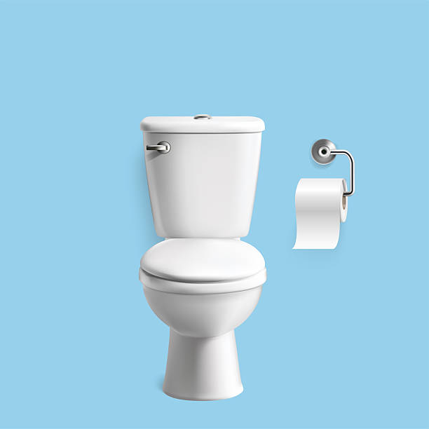 istock 3d realistic vector illustration. White toilet bowl with a paper roll. 2255625118