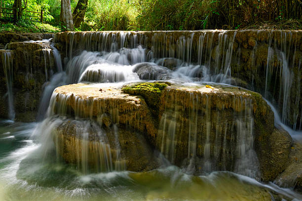 Soft sunlight highlights tiered limestone formations as water cascades gently over mossy rocks at Kuang Si Falls in northern Laos. The scene features lush green surroundings and tranquil flowing water in a vibrant tropical forest setting.