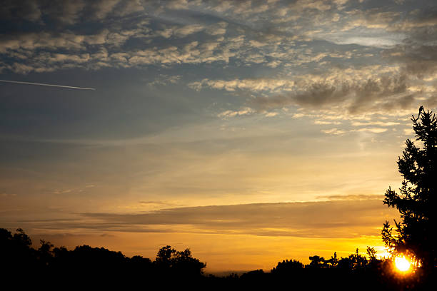 Sunset over Saffron Walden, Essex, UK, with silhouetted trees and a vibrant sky and a contrail in the sky.