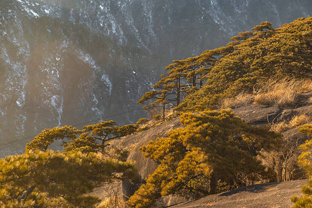 Scenic view of Huangshan mountains at sunset in China