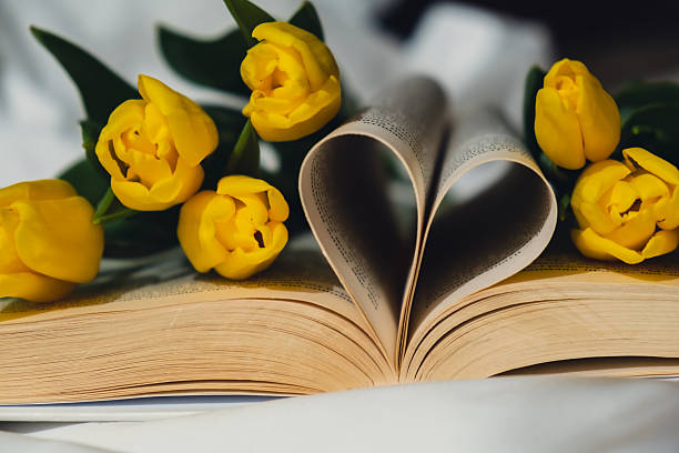 Book pages folded into heart with yellow fresh tulips on white bed. Spring flowers gift present idea. Concept of love literature and education Romantic date postcard wallpaper design Copy space