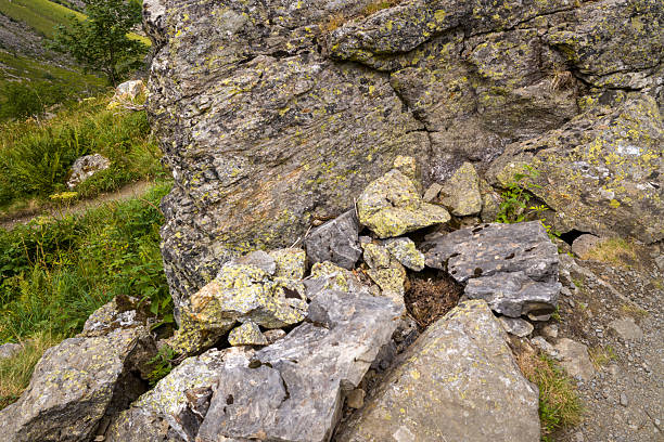 A snake camouflaged between lichen-covered stones on a rugged hillside in the Pyrenees. Natural textures of rock and greenery create a wild, earthy mountain atmosphere.