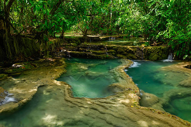 Mossy limestone terraces form tranquil turquoise pools beneath dense green canopy at Kuang Si Falls in northern Laos. Soft light filters through lush foliage, highlighting clear water and natural textures in this tropical forest scene.