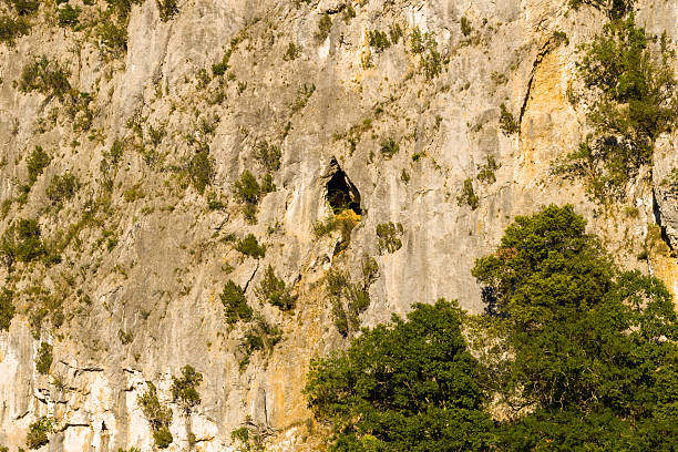 Sunlit limestone cliff with a small cave entrance and scattered green shrubs, rising above dense trees in the Gorges de l'Ardeche. Warm tones highlight the rugged surface and natural textures.
