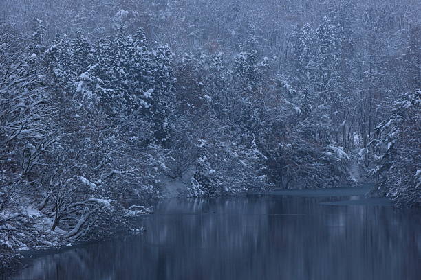 A wide, scenic winter landscape where heavy snowy branches lean over a tranquil lake. A calm and beautifully balanced composition.