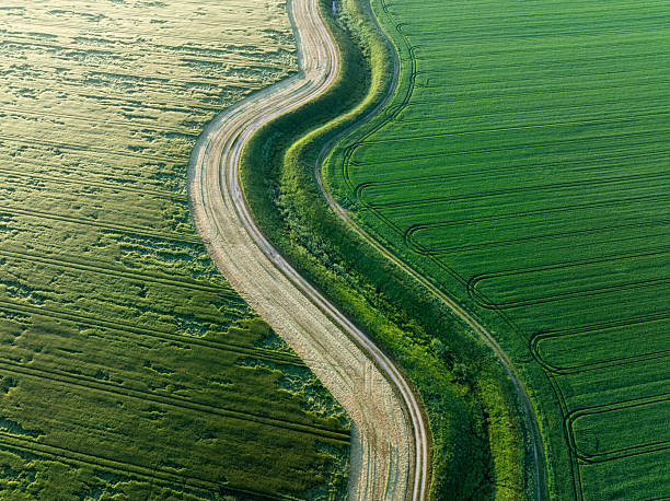 istock Aerial View of Curved Country Road Between Two Fields 2255663478