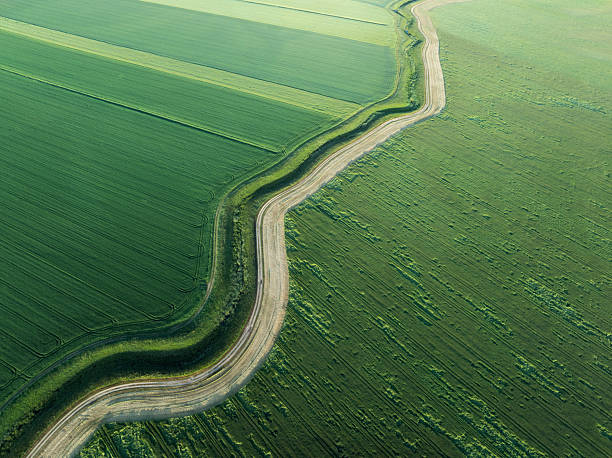 istock Aerial View of Curved Country Road Between Two Fields 2255663499